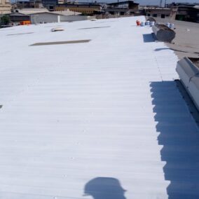 WhatsApp Image 2025-10-14 at 11.18.48 AM (1)